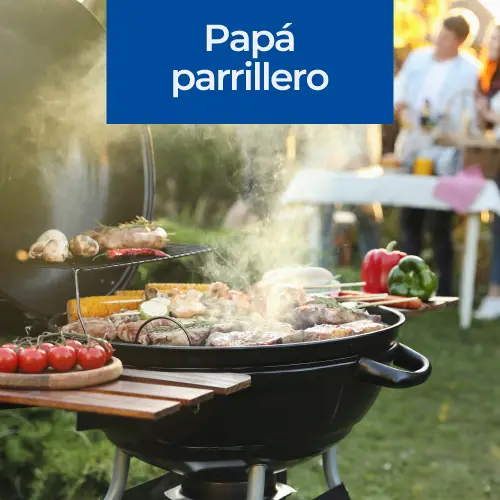 Parrilla a carbon Master 93.760 ENVIO GRATIS sobre 50mil en RM